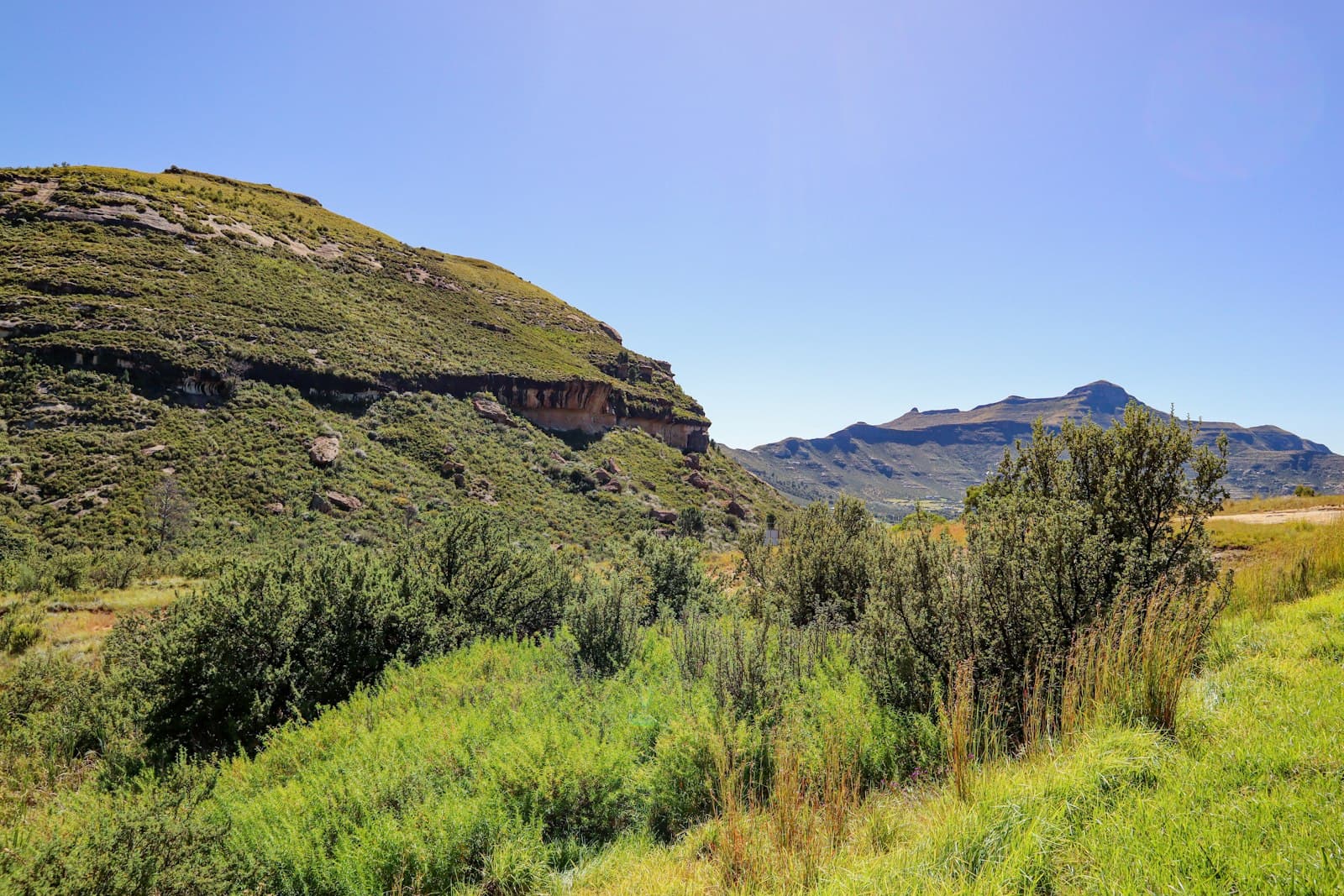 Wild Coast Tours guides on the trail