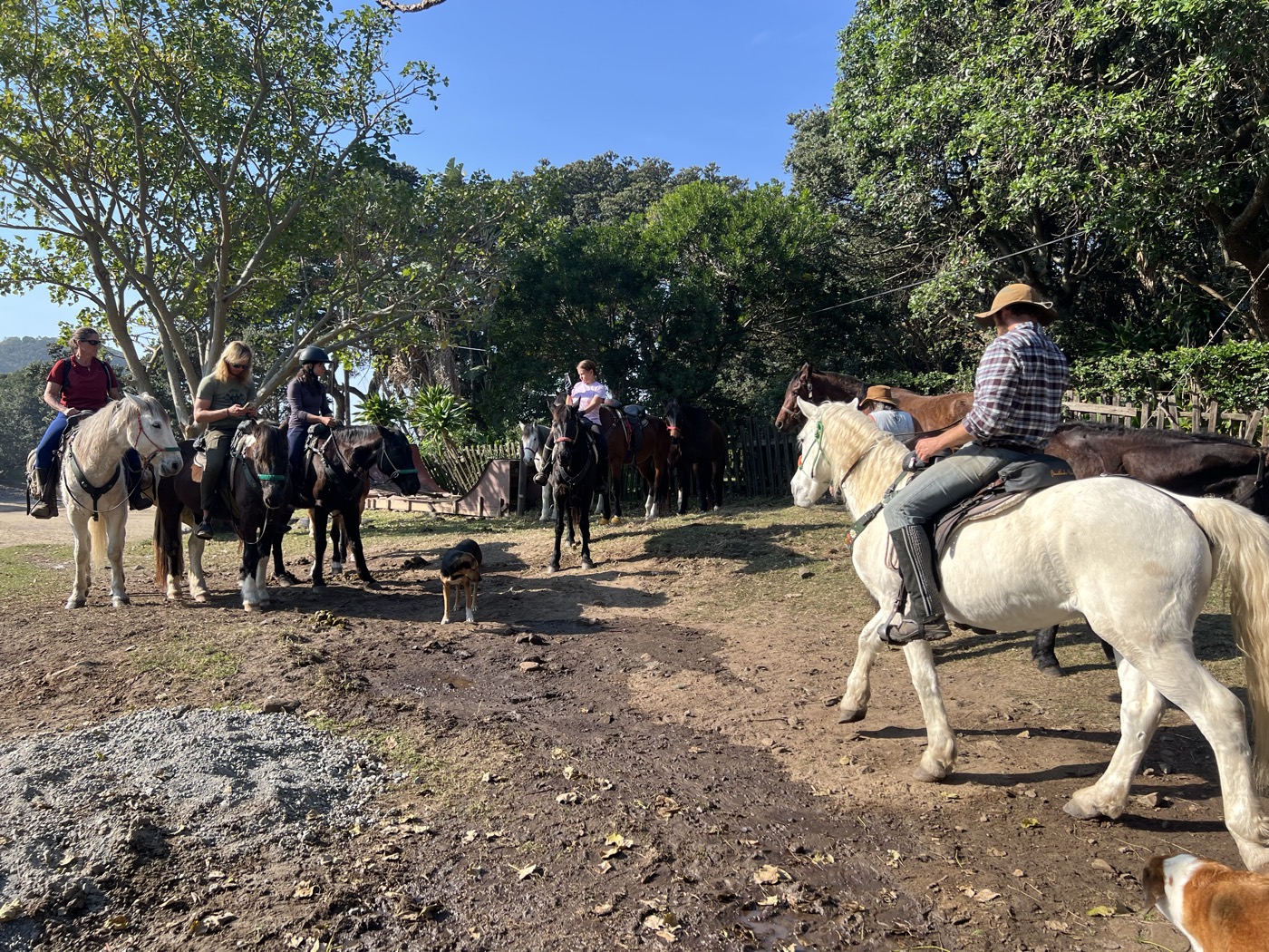 Sacred Pools Horse Trail - Photo 2