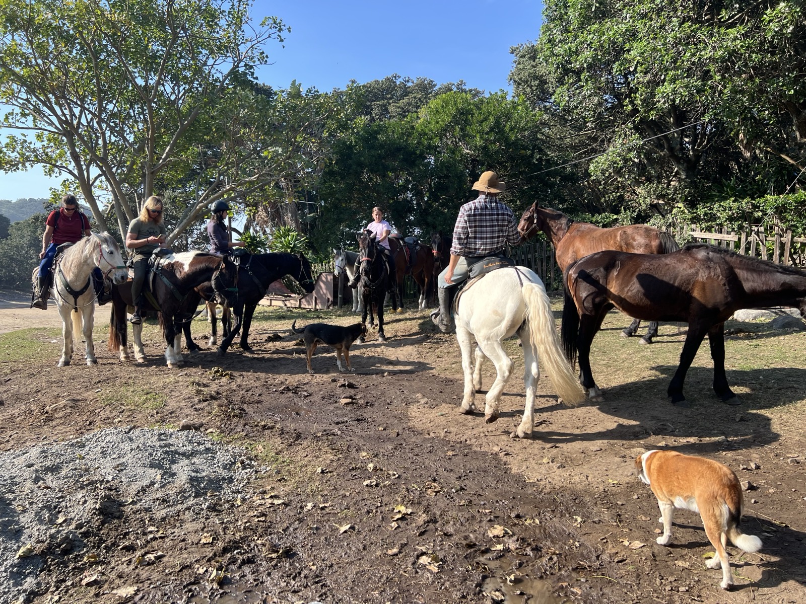 Sacred Pools Horse Trail - Photo 3