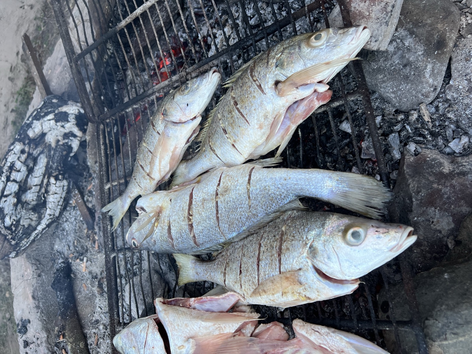 Weekend River Fishing - Photo 5